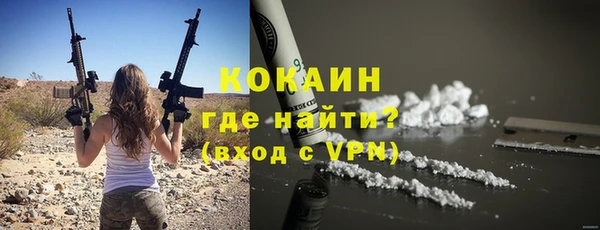 бошки Губаха