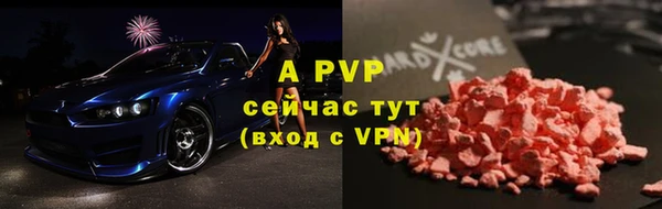 дживик Саяногорск