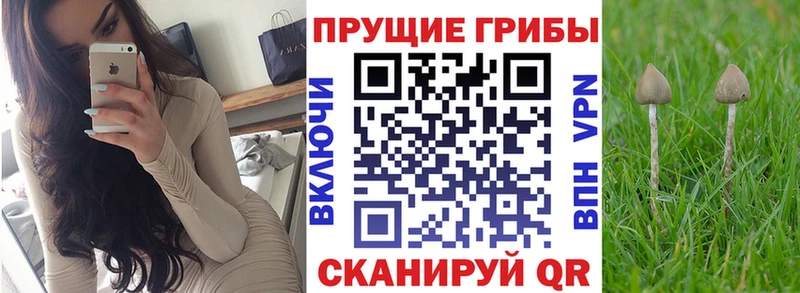 Галлюциногенные грибы GOLDEN TEACHER  Купить закладки  Добрянка 